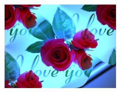 une rose pour toi 